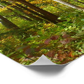 Wälder in Gelben Blätter Herbstlandschaft Poster (Ecke)