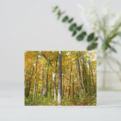 Wälder in Gelben Blätter Herbstlandschaft Postkarte (Stehend Vorderseite)