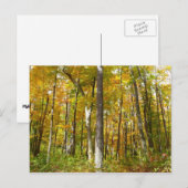 Wälder in Gelben Blätter Herbstlandschaft Postkarte (Vorne/Hinten)
