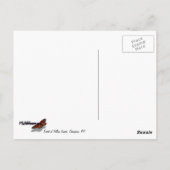 Wälder in Gelben Blätter Herbstlandschaft Postkarte (Rückseite)