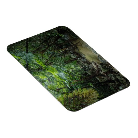 Wälder | Iriomote Ishigaki Nationalpark Magnet (Rechte Seite)