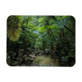 Wälder | Iriomote Ishigaki Nationalpark Magnet (Horizontal)