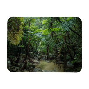 Wälder   Iriomote Ishigaki Nationalpark Magnet
