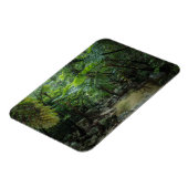 Wälder | Iriomote Ishigaki Nationalpark Magnet (Linke Seite)