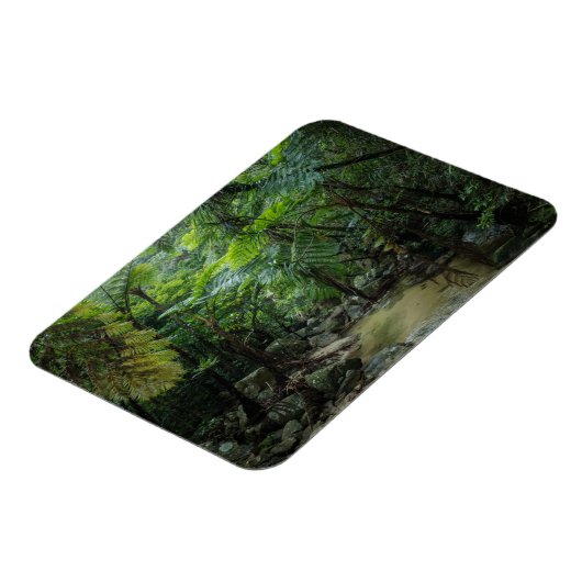 Wälder | Iriomote Ishigaki Nationalpark Magnet (Linke Seite)