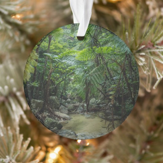 Wälder | Iriomote Ishigaki Nationalpark Ornament (Baum)