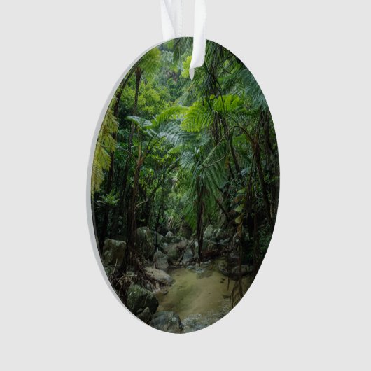 Wälder | Iriomote Ishigaki Nationalpark Ornament (Vorderseite)