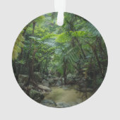 Wälder | Iriomote Ishigaki Nationalpark Ornament (Rückseite)