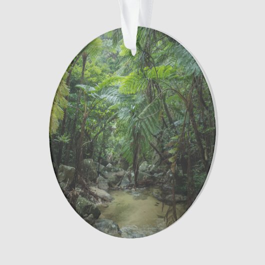 Wälder | Iriomote Ishigaki Nationalpark Ornament (Vorderseite)