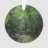 Wälder | Iriomote Ishigaki Nationalpark Ornament (Vorderseite)