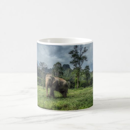 Wälder | Kao Sok Nationalpark Kaffeetasse (Mittel)