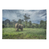 Wälder | Kao Sok Nationalpark Kissenbezug (Rückseite)