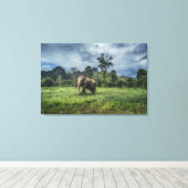 Wälder | Kao Sok Nationalpark Leinwanddruck (Insitu (Holzboden))