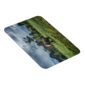 Wälder | Kao Sok Nationalpark Magnet (Rechte Seite)