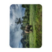 Wälder | Kao Sok Nationalpark Magnet (Vertikal)