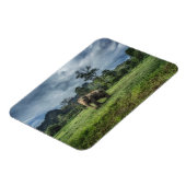 Wälder | Kao Sok Nationalpark Magnet (Linke Seite)