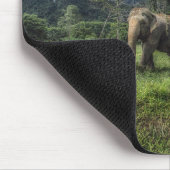 Wälder | Kao Sok Nationalpark Mousepad (Ecke)