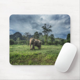 Wälder Kao Sok Nationalpark Mousepad