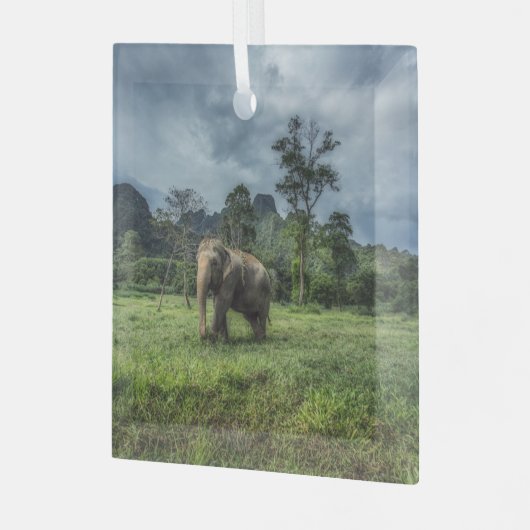 Wälder | Kao Sok Nationalpark Ornament Aus Glas (Vorderseite links)