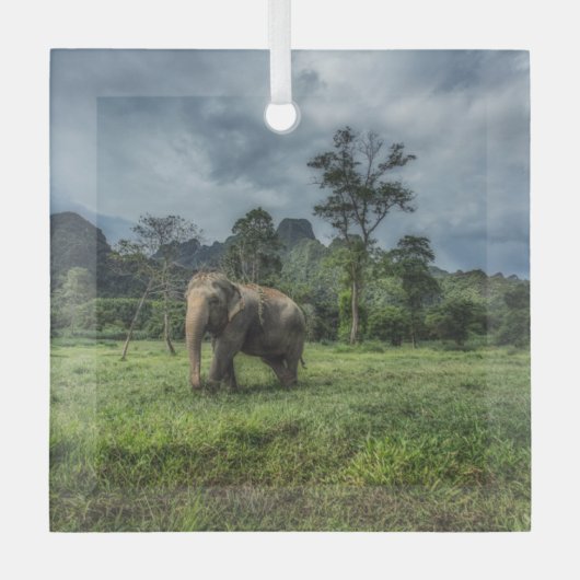 Wälder | Kao Sok Nationalpark Ornament Aus Glas (Vorderseite)