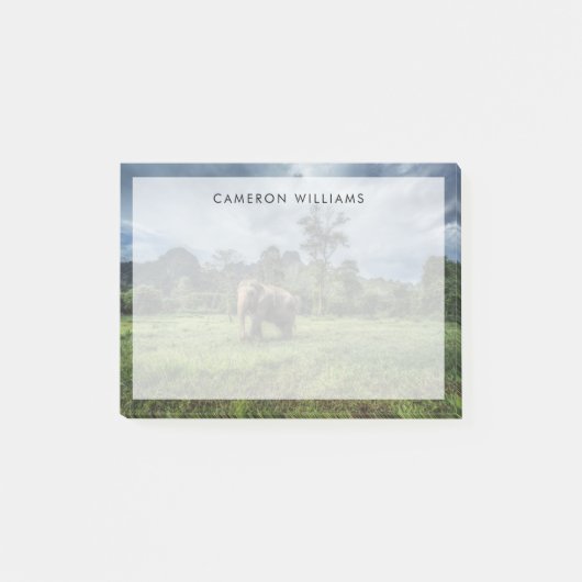 Wälder | Kao Sok Nationalpark Post-it Klebezettel (Vorderseite)