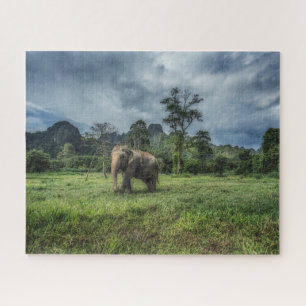Wälder Kao Sok Nationalpark Puzzle