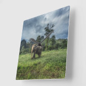 Wälder | Kao Sok Nationalpark Quadratische Wanduhr (Winkel)