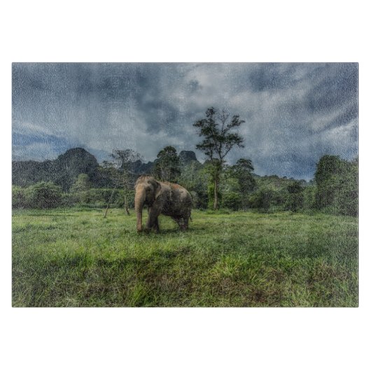 Wälder | Kao Sok Nationalpark Schneidebrett (Vorderseite)