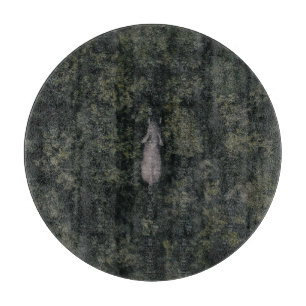 Wälder   Lalibela Game Reserve Schneidebrett