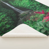 Wälder | Leke Leke Wasserfälle in Bali Sherpadecke (3/4)