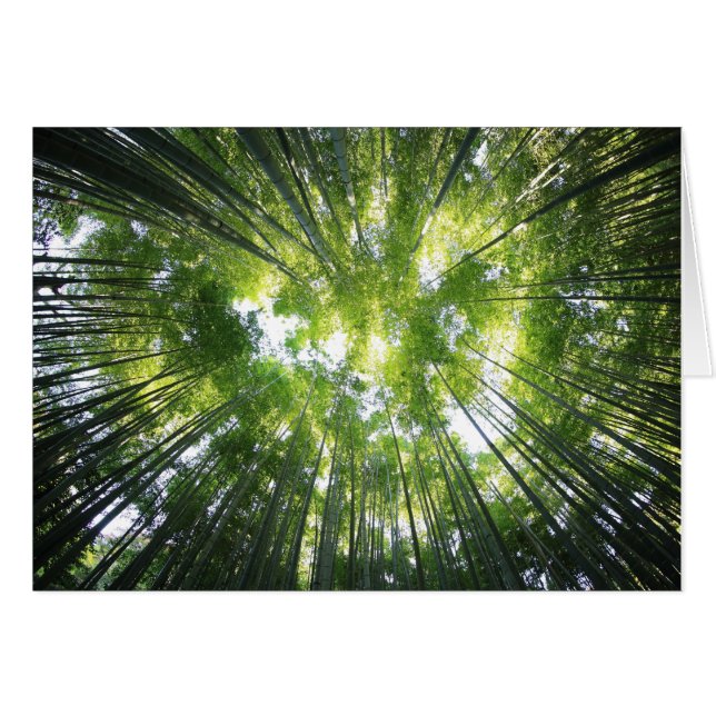 Wälder mit Blick auf die leere Foto-Note-Karte der (Vorderseite (Horizontal))