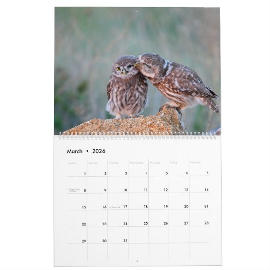 Wälder mit schönen Natur- und Waldszenen Kalender (Mär 2026)