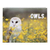 Wälder mit schönen Natur- und Waldszenen Kalender (Titelbild)