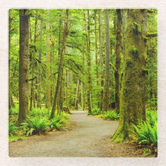 Wälder | Olympischer Nationalpark Glasuntersetzer (Vorderseite)