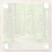 Wälder | Olympischer Nationalpark Glasuntersetzer (Rückseite)