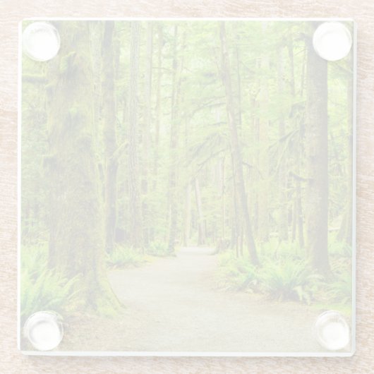 Wälder | Olympischer Nationalpark Glasuntersetzer (Rückseite)