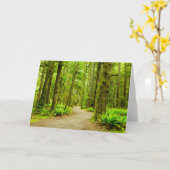 Wälder | Olympischer Nationalpark Karte (Gelbe Blume)