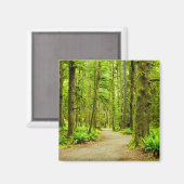 Wälder | Olympischer Nationalpark Magnet (Vorderseite/Rückseite)