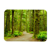 Wälder | Olympischer Nationalpark Magnet (Horizontal)