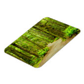 Wälder | Olympischer Nationalpark Magnet (Linke Seite)