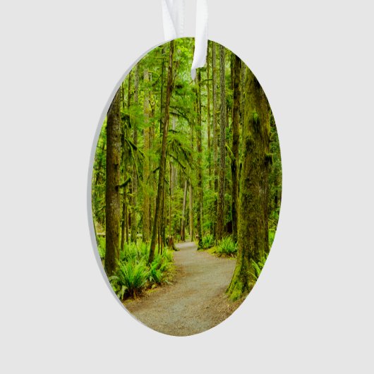 Wälder | Olympischer Nationalpark Ornament (Vorderseite)