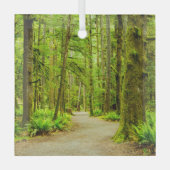 Wälder | Olympischer Nationalpark Ornament Aus Glas (Vorderseite)