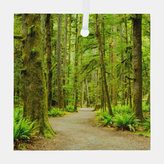 Wälder | Olympischer Nationalpark Ornament Aus Glas (Rückseite)