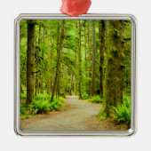 Wälder | Olympischer Nationalpark Ornament Aus Metall (Vorne)