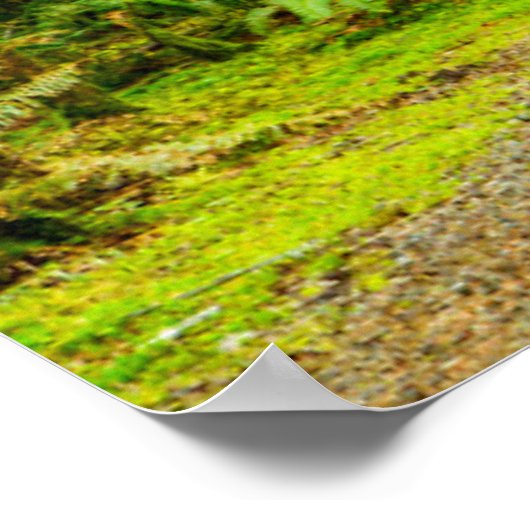 Wälder | Olympischer Nationalpark Poster (Ecke)