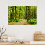 Wälder | Olympischer Nationalpark Poster (Küche)