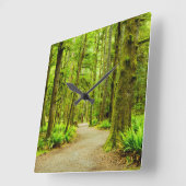 Wälder | Olympischer Nationalpark Quadratische Wanduhr (Winkel)