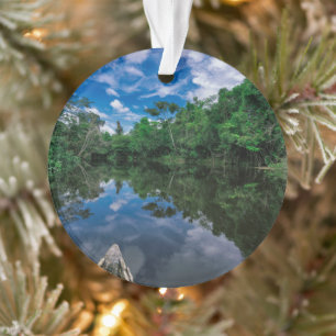 Wälder Peruanischer Dschungelwald Ornament
