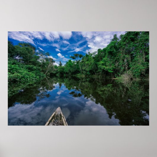 Wälder | Peruanischer Dschungelwald Poster (Vorne)
