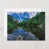 Wälder | Peruanischer Dschungelwald Postkarte (Vorne/Hinten)